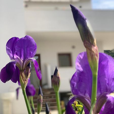 Villa Rreze Dielli Wlora Zewnętrze zdjęcie